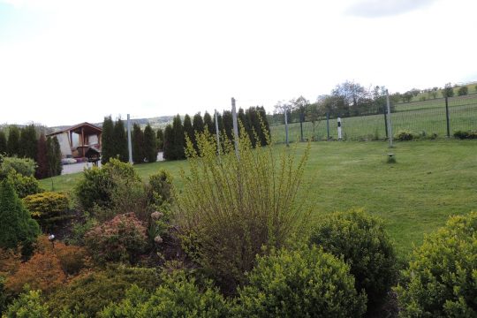 Teilansicht Garten