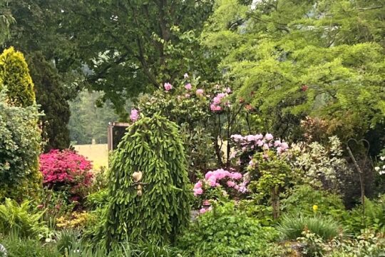 Blick in den Garten