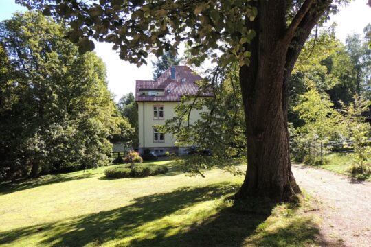 Frontansicht
