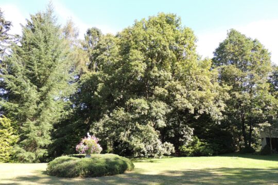 Gartenansicht