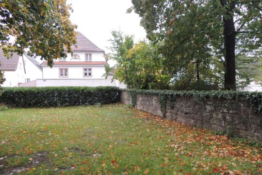 Gartenblick vom Esszimmer aus