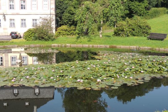 Blick in den Schlosspark
