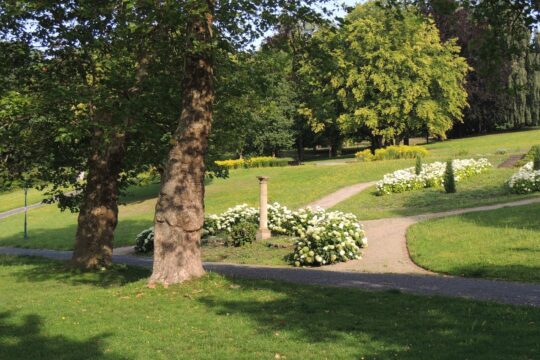 Parkblick