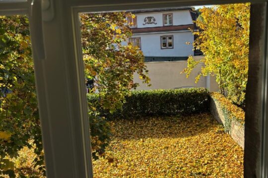 Gartenblick von der Küche aus