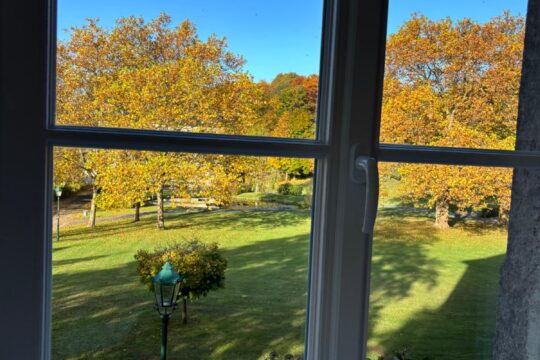 Parkblick vom Wohnzimmer